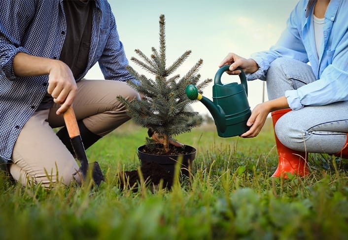 Holiday Card Planting Trees 2023
